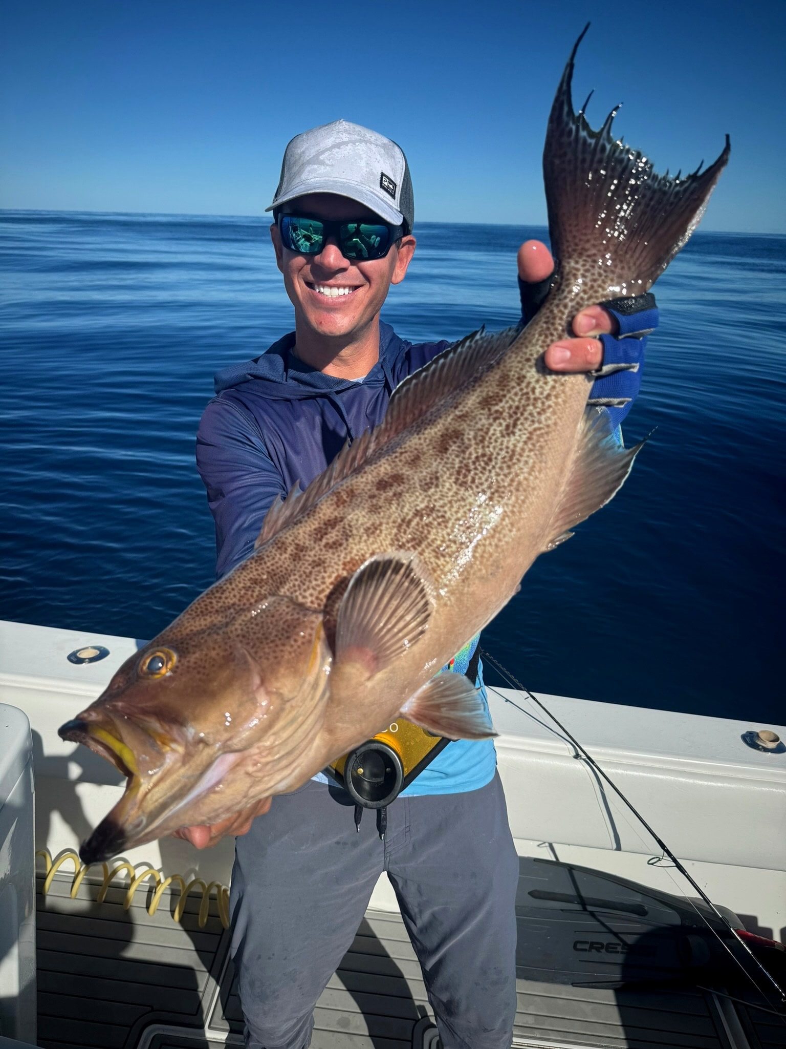 A scamp grouper on glassy water